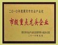 ***企業(yè)榮譽(yù)證書(shū)